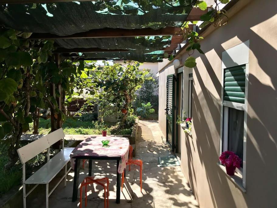Garden Cozy Apartment Zadar Exterior photo